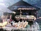 Zhuang Ethnic Culture